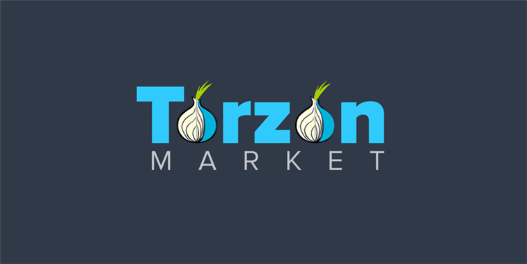 Tor Browser Interface